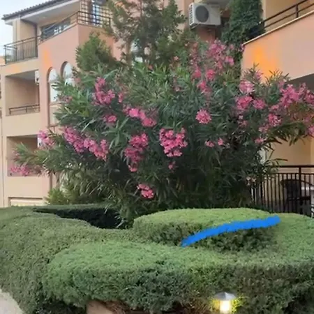 Sveti Vlas, Paradise Dreams شقة